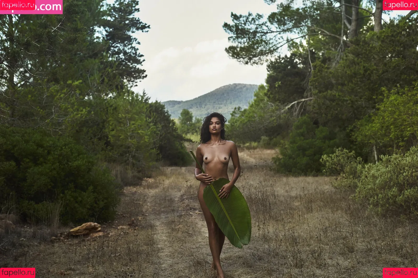 Shanina Shaik Onlyfans Photo Gallery 