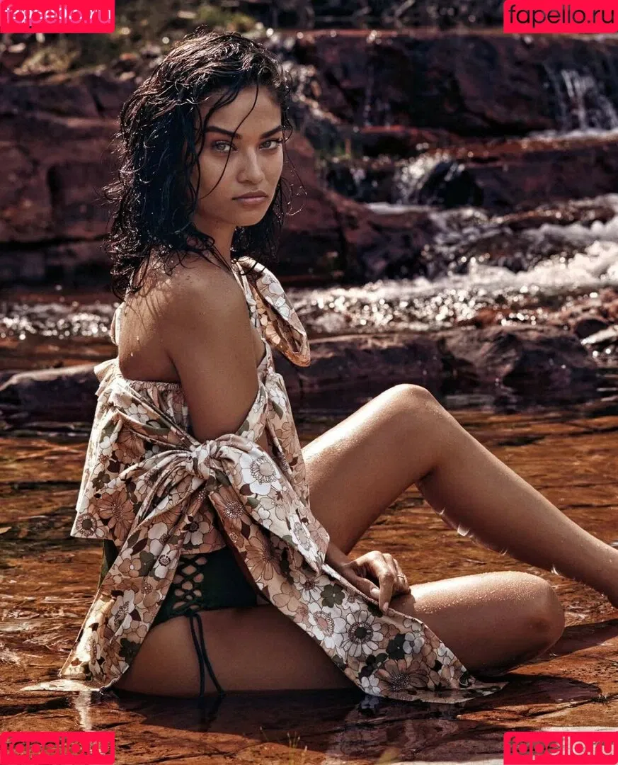 Shanina Shaik Onlyfans Photo Gallery 