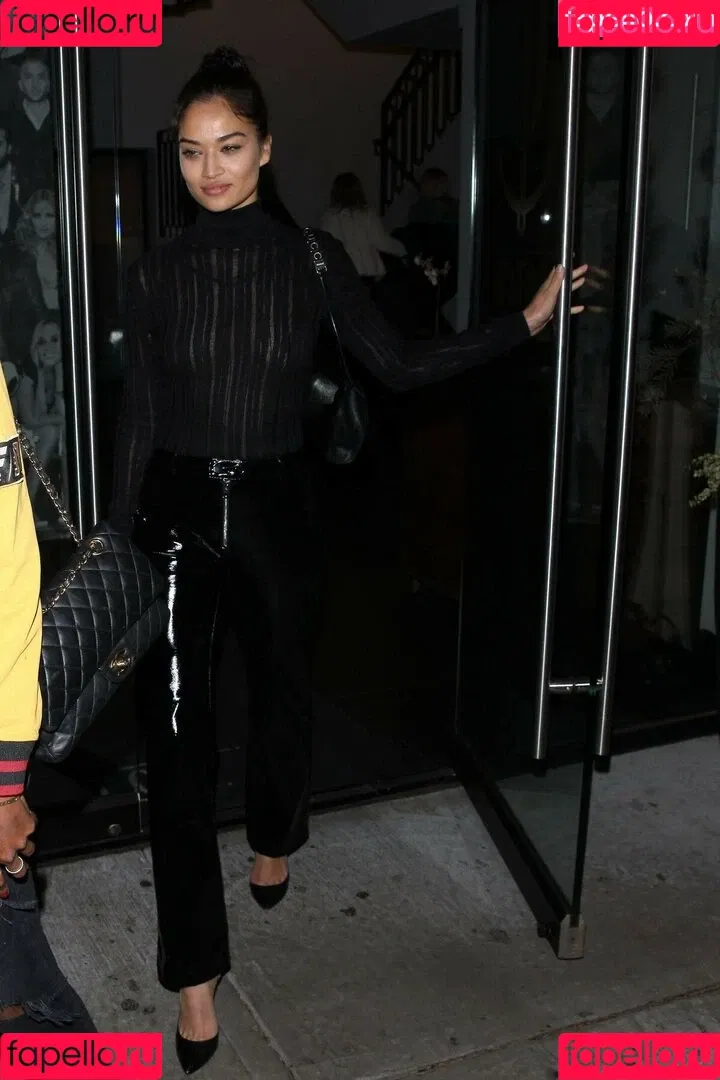 Shanina Shaik Onlyfans Photo Gallery 