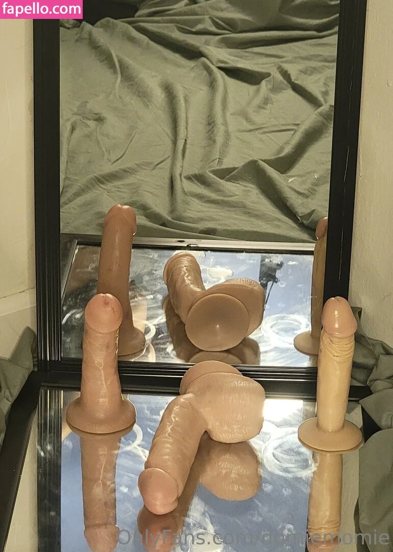 tem_momo Onlyfans Photo Gallery 