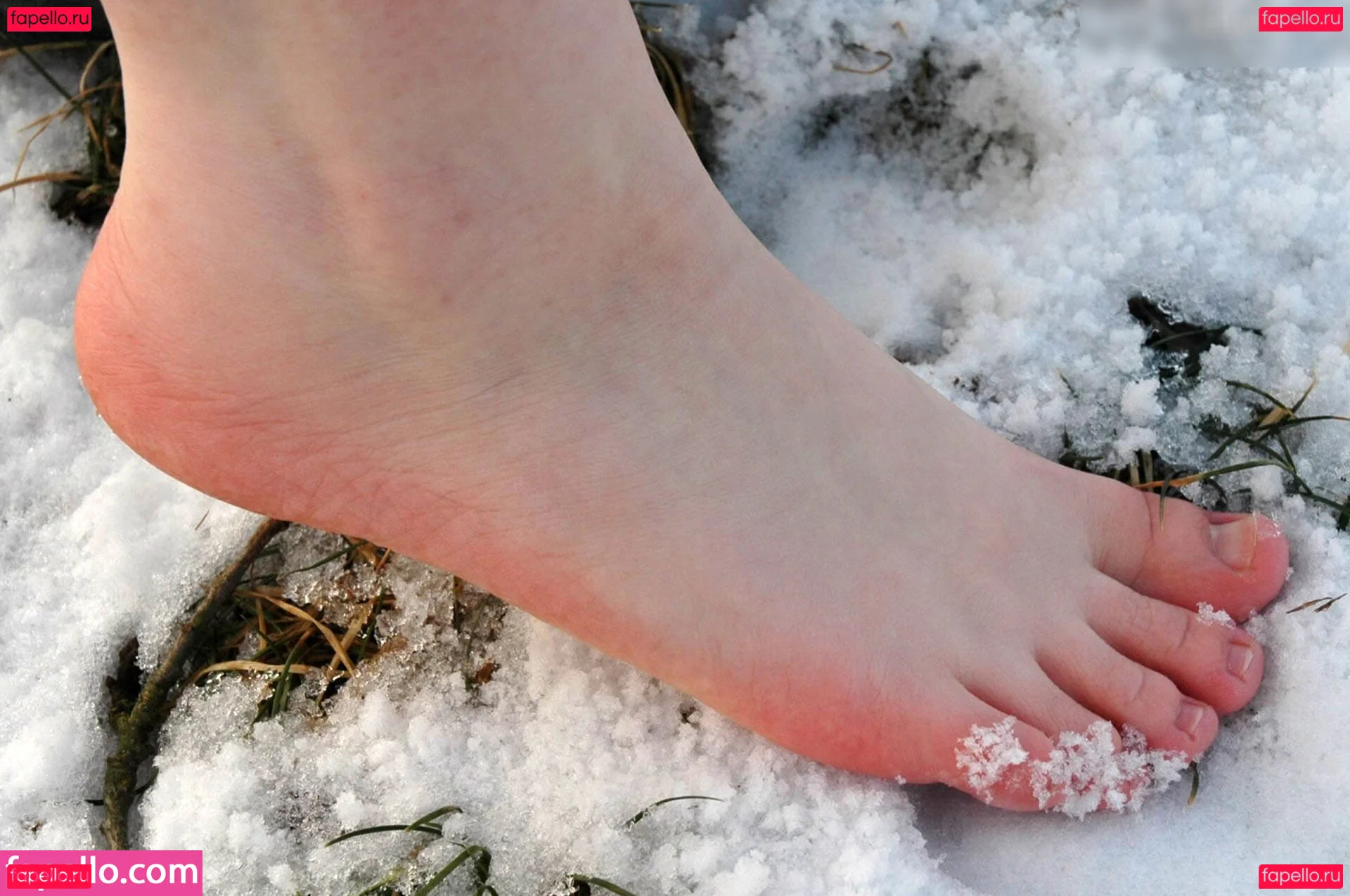 Feetperview / Sockenmädchen Onlyfans Photo Gallery 