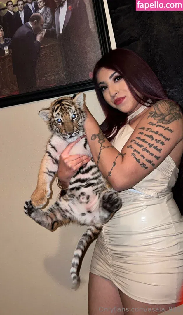 Wiso33 Onlyfans Photo Gallery 