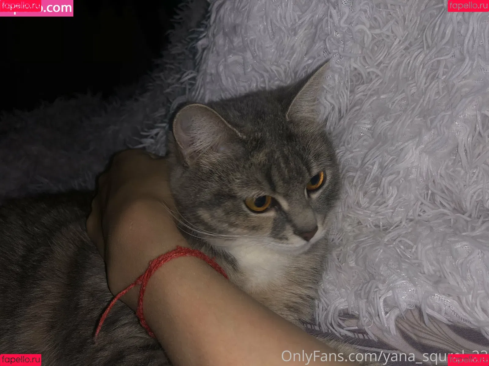 yana_squrel_22 Onlyfans Photo Gallery 