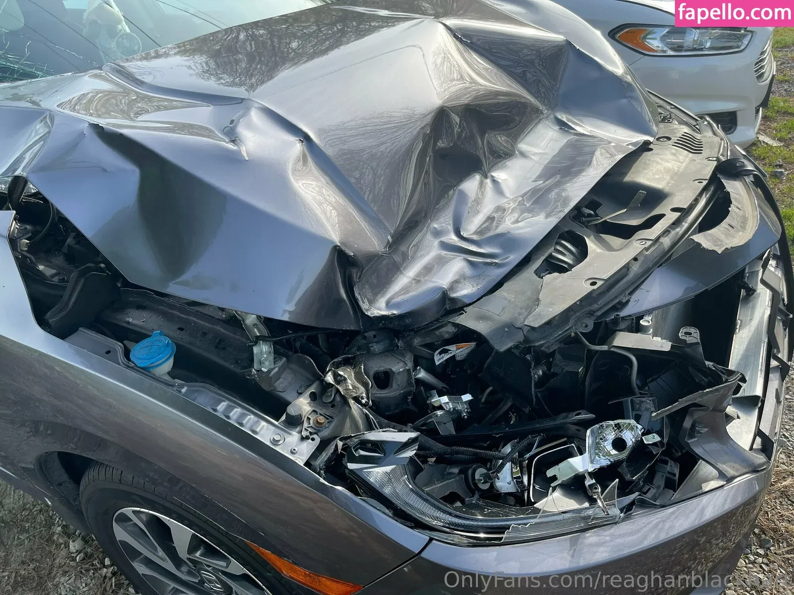 reaghanblackhart Onlyfans Photo Gallery 