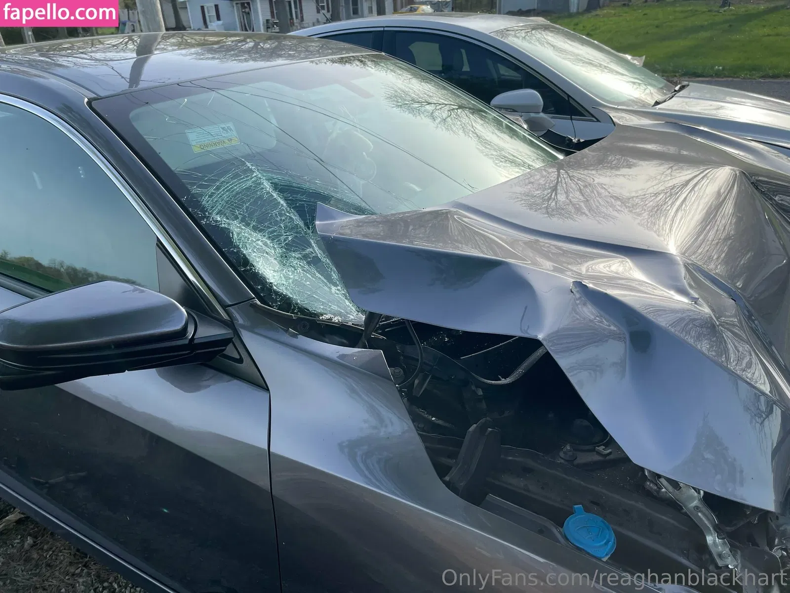 reaghanblackhart Onlyfans Photo Gallery 