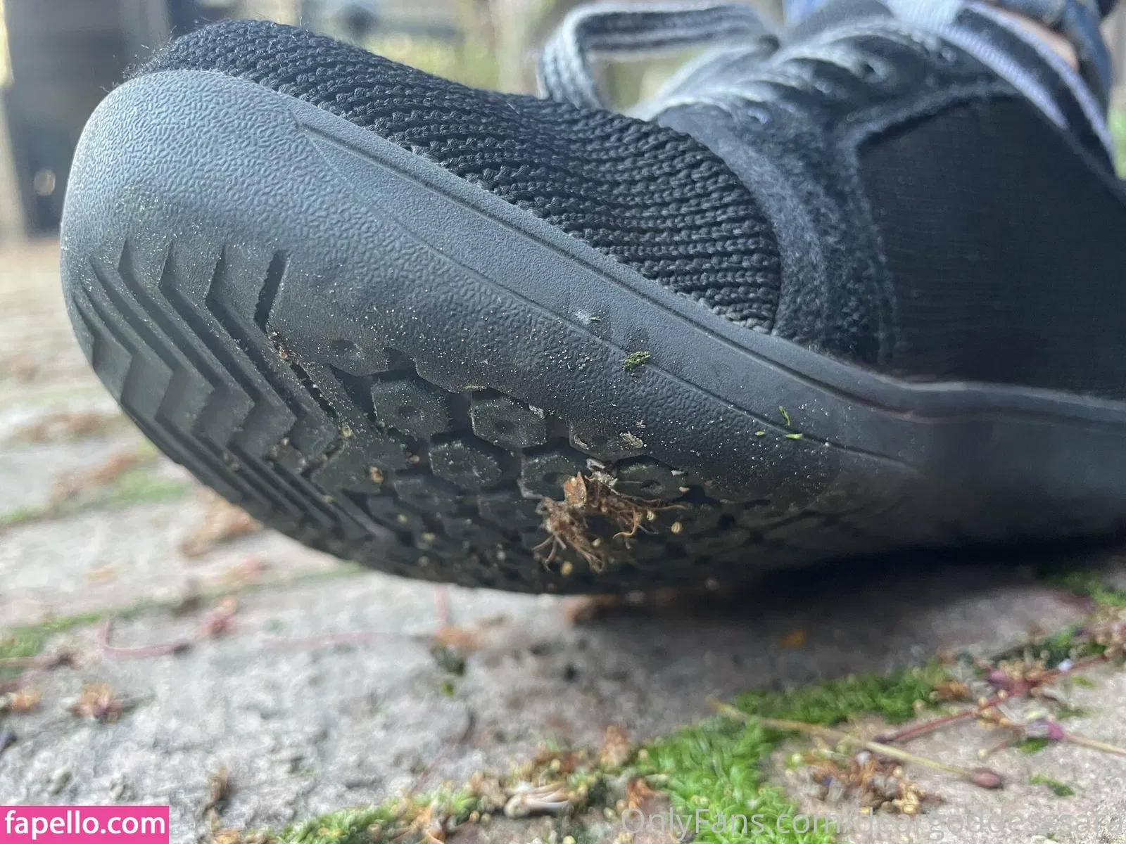 deargoddesssara Onlyfans Photo Gallery 