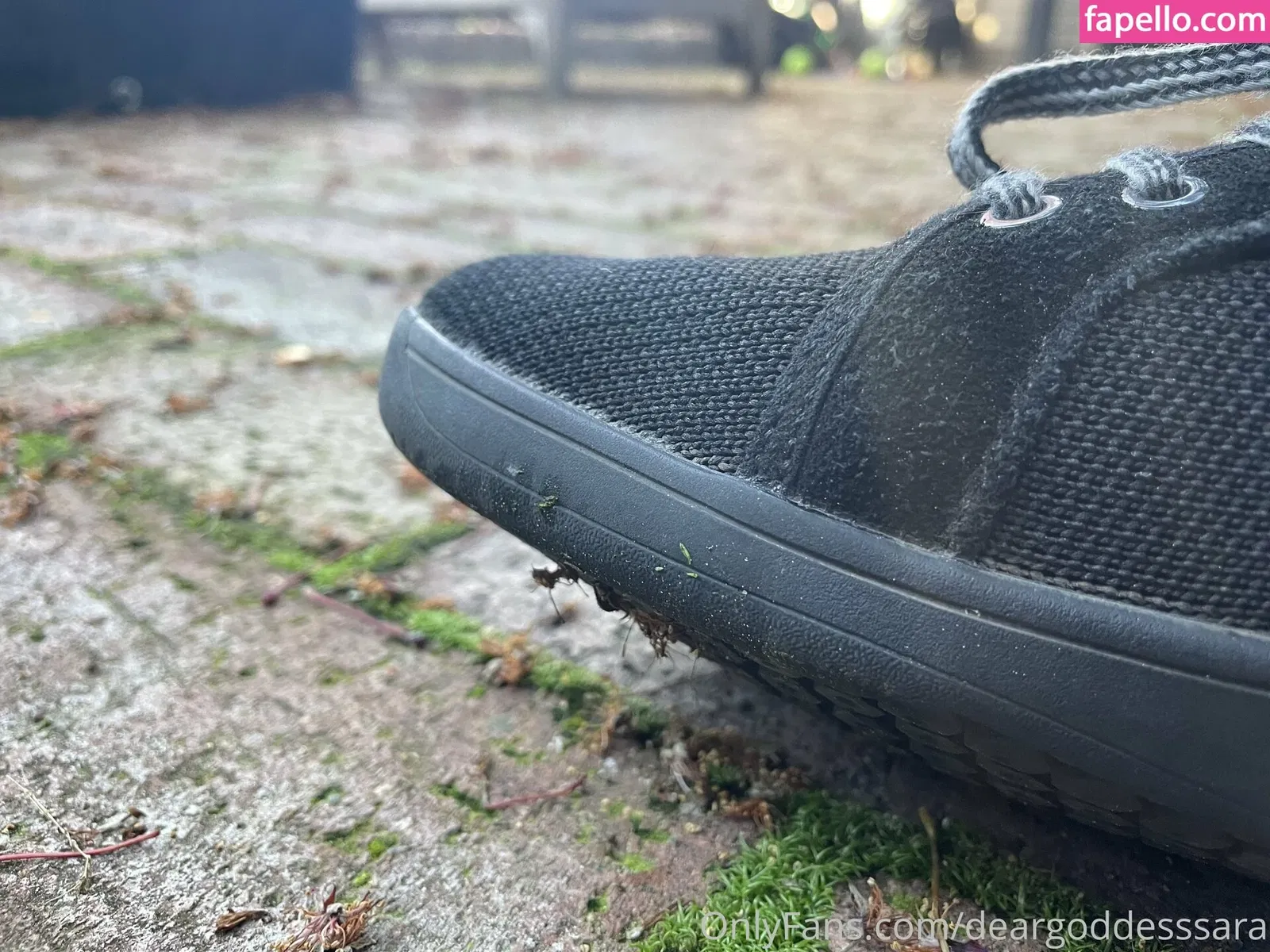 deargoddesssara Onlyfans Photo Gallery 