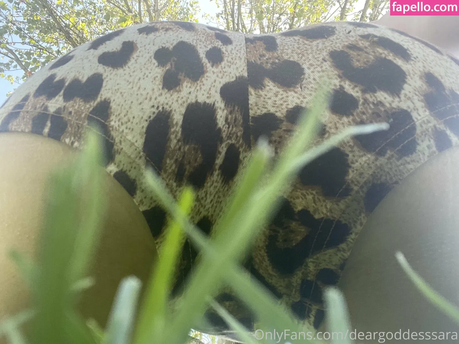 deargoddesssara Onlyfans Photo Gallery 