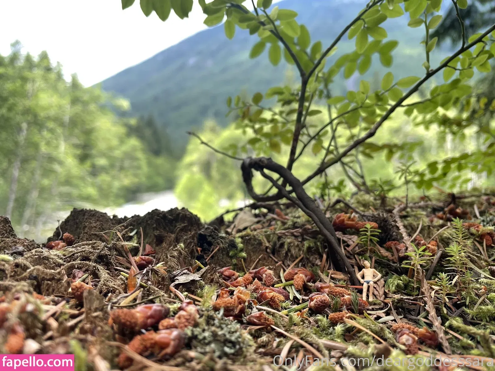 deargoddesssara Onlyfans Photo Gallery 