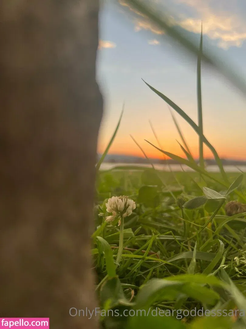 deargoddesssara Onlyfans Photo Gallery 