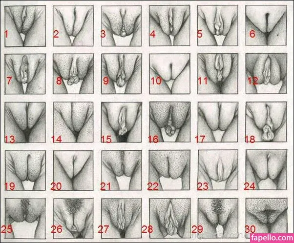 whitedovecries Onlyfans Photo Gallery 