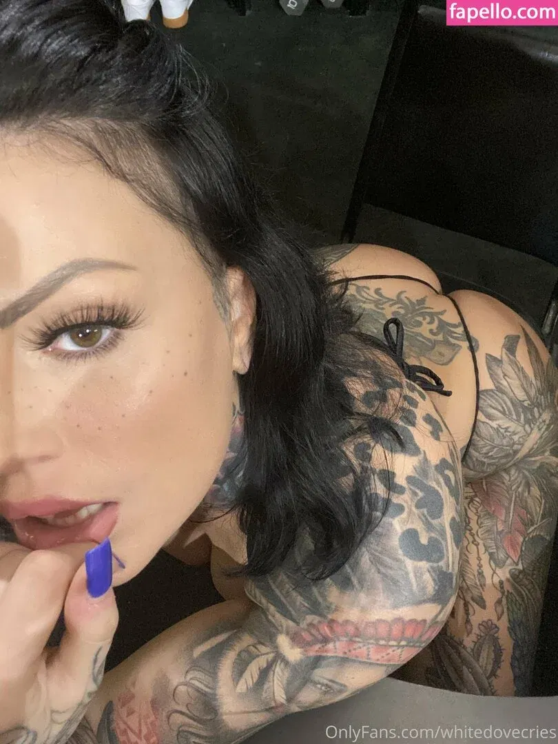 whitedovecries Onlyfans Photo Gallery 