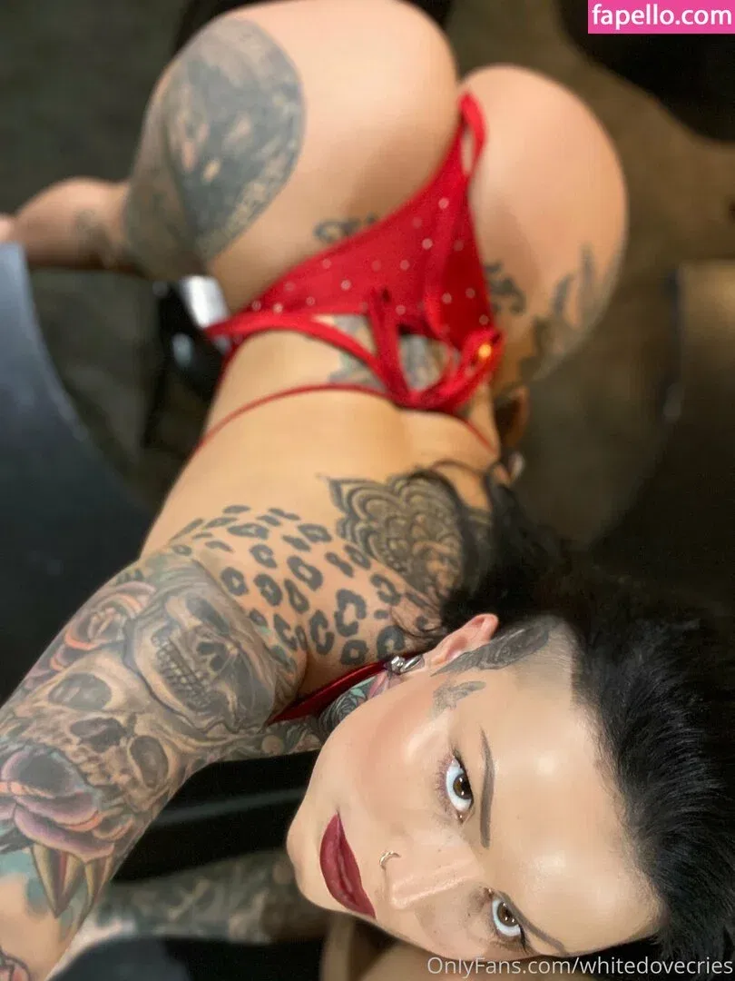 whitedovecries Onlyfans Photo Gallery 