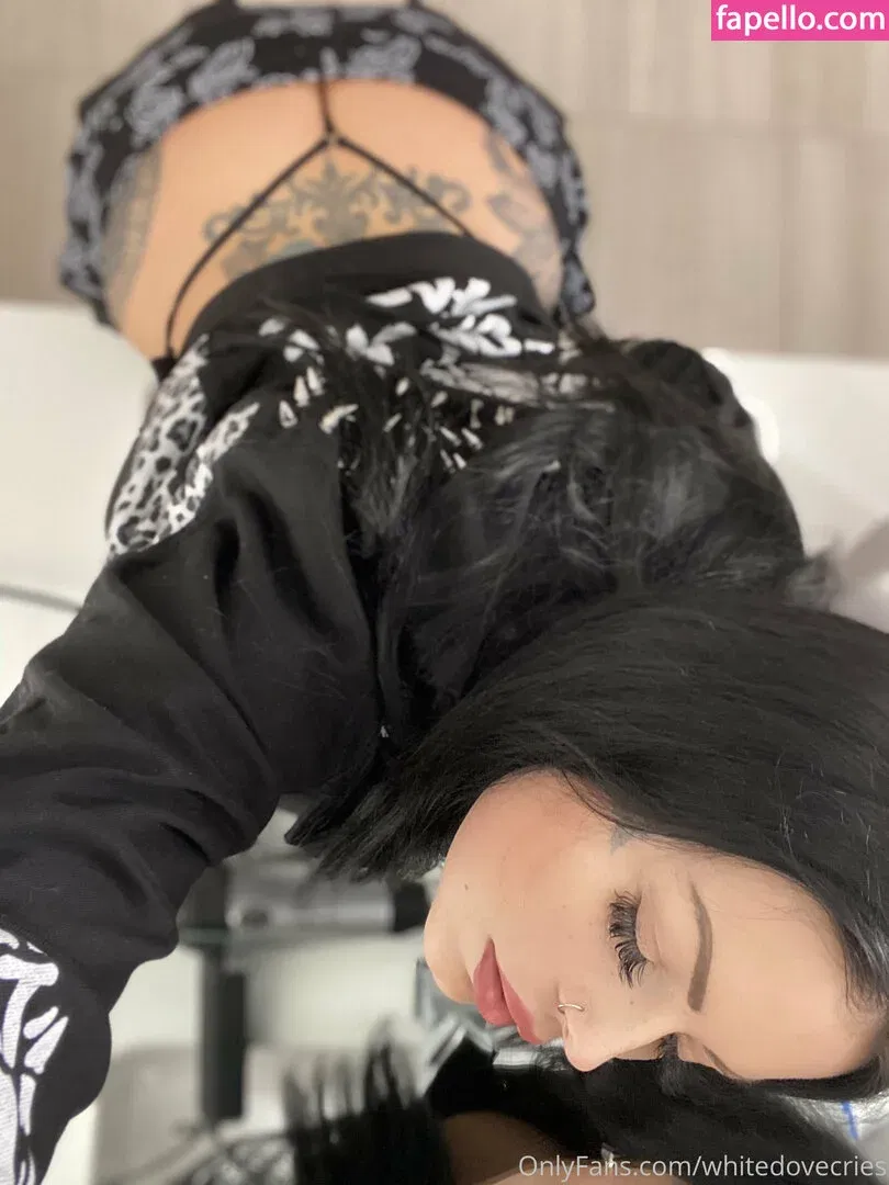 whitedovecries Onlyfans Photo Gallery 