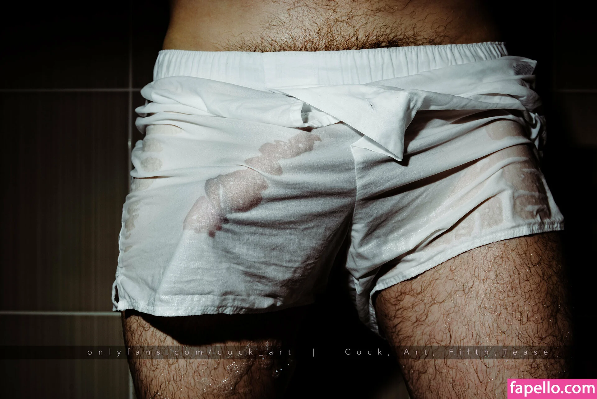 cock_art Nude Onlyfans Photo 20