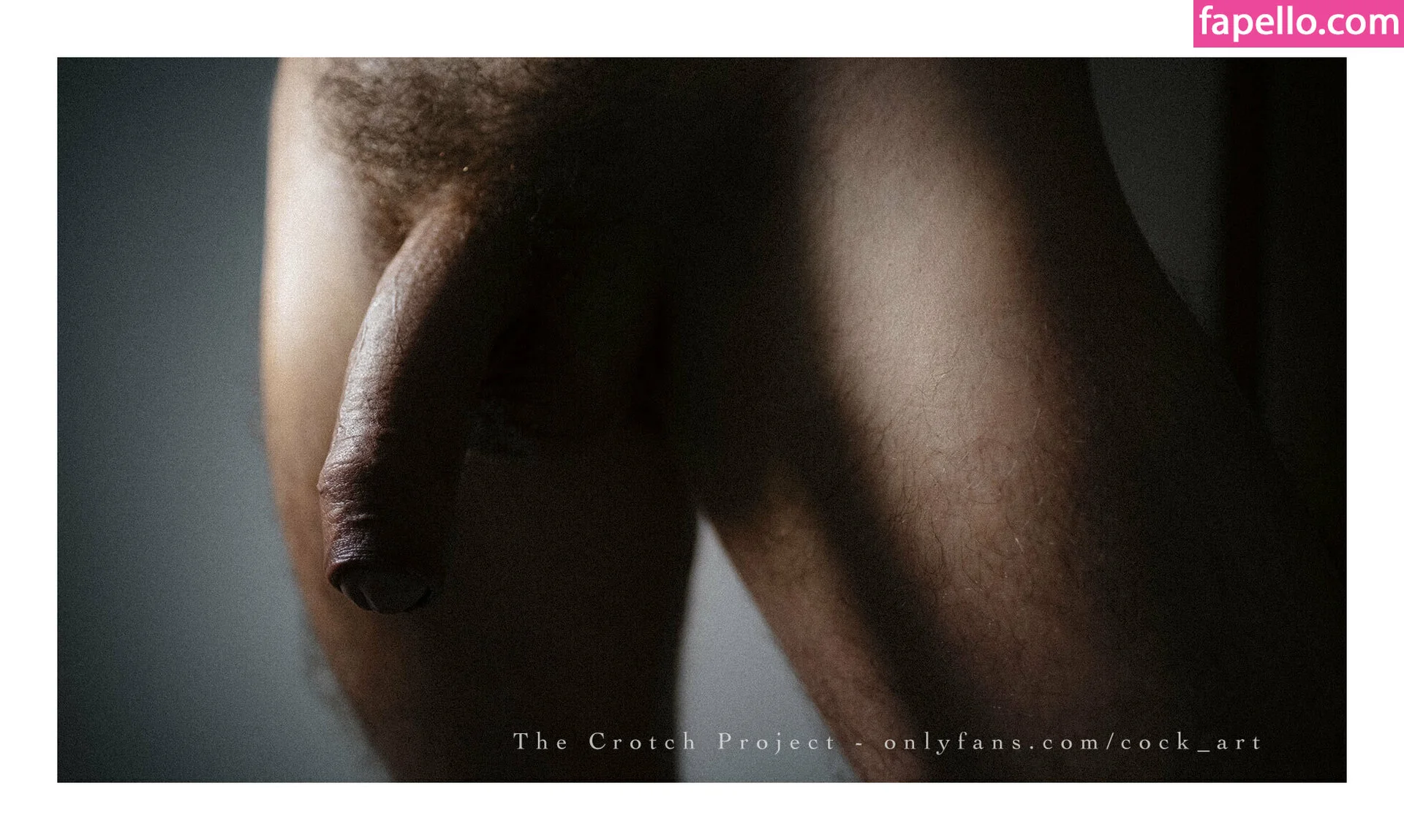 cock_art Nude Onlyfans Photo 12