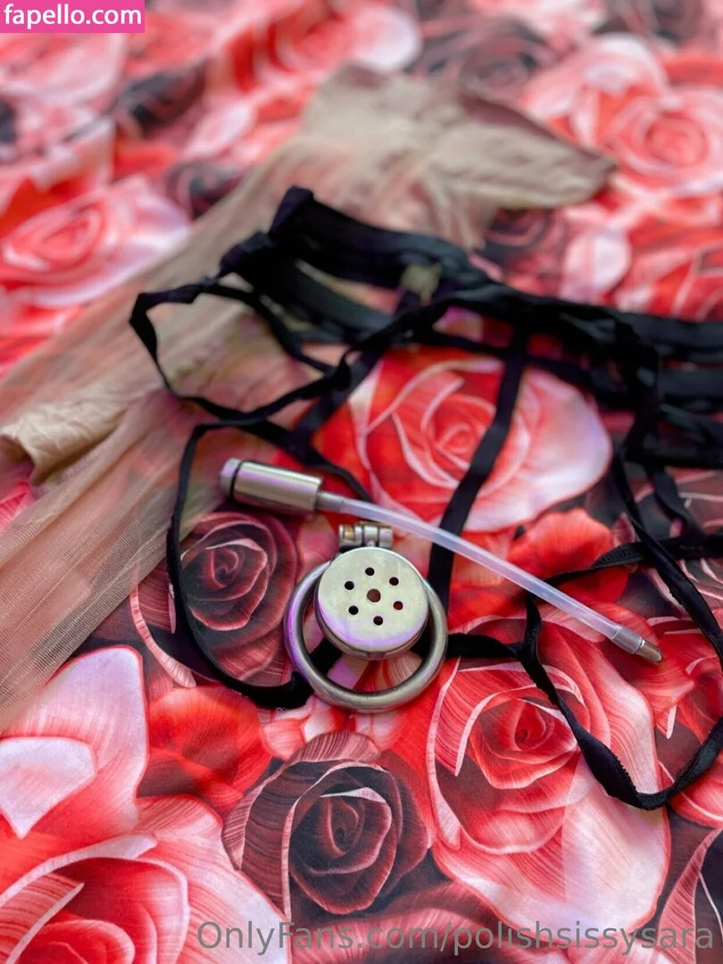 polishsissysara Onlyfans Photo Gallery 