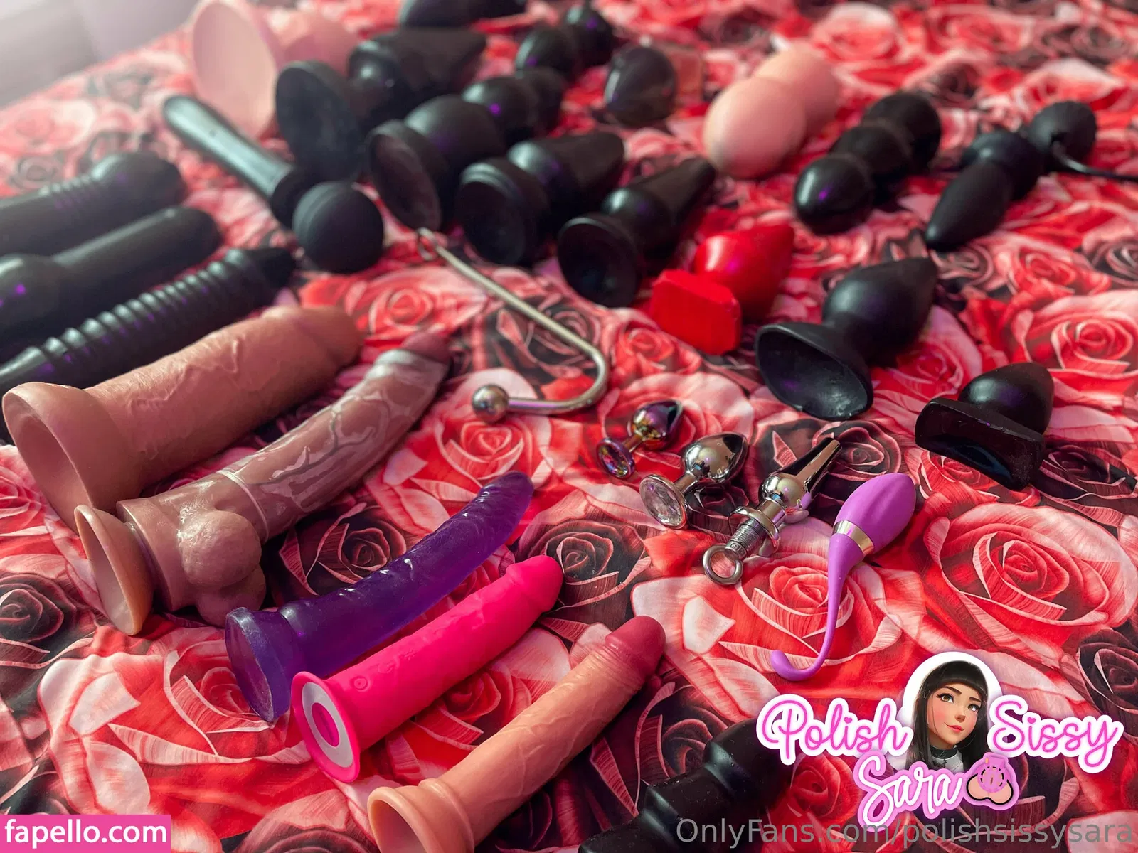 polishsissysara Onlyfans Photo Gallery 