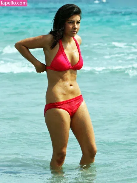 pltt.nl Onlyfans Photo Gallery 