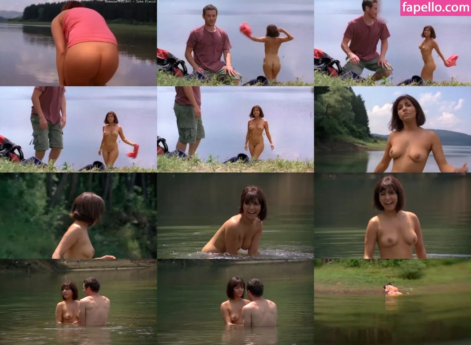 pltt.nl Onlyfans Photo Gallery 