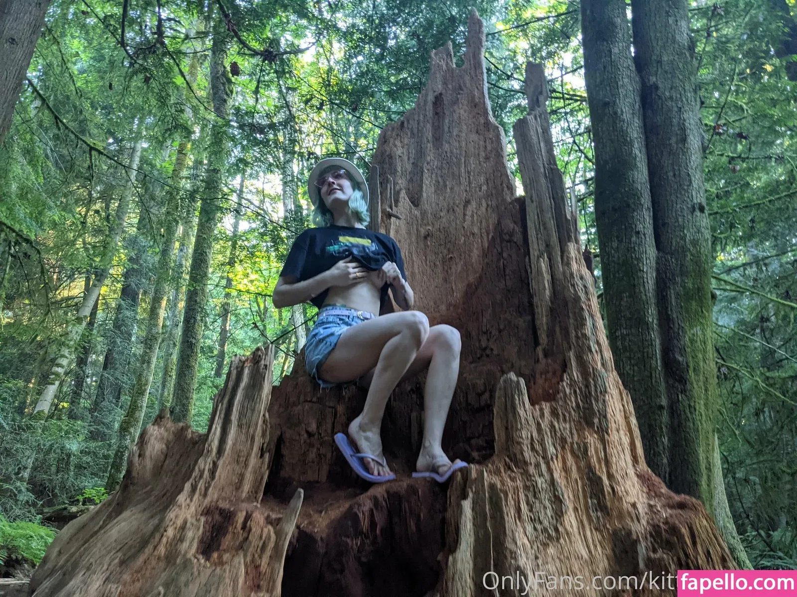 kittykass-free Onlyfans Photo Gallery 