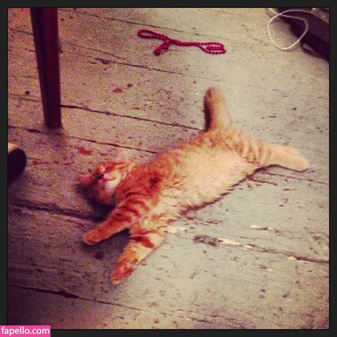 Xenia Hellenic Goddess Onlyfans Photo Gallery 