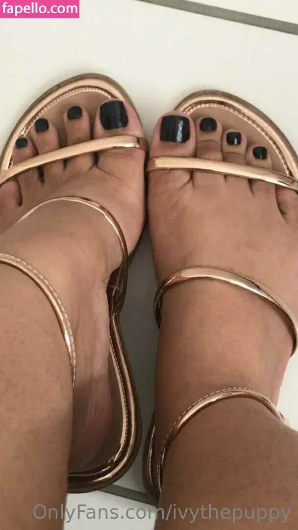 ivythepuppy Onlyfans Photo Gallery 