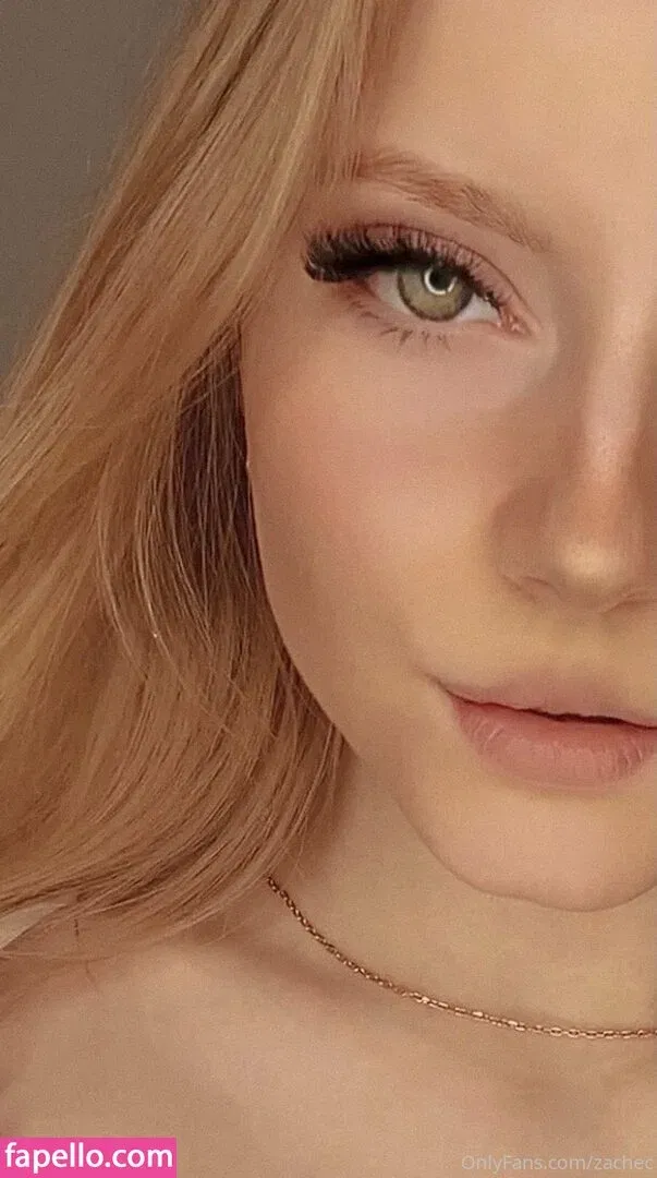 zachec Onlyfans Photo Gallery 