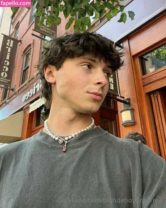 blondeboybradfree Onlyfans Photo Gallery 