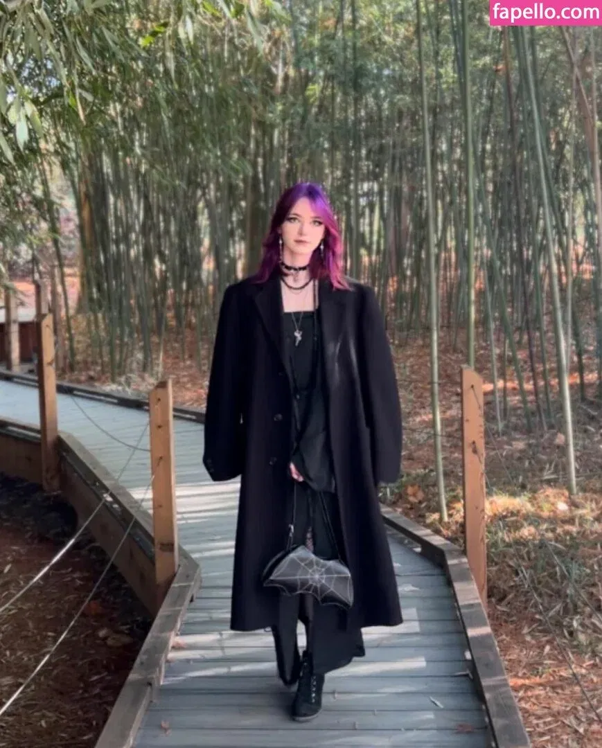 beehasleft Onlyfans Photo Gallery 