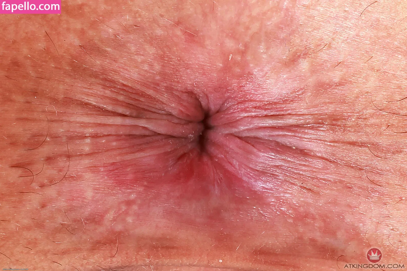 Ari Alectra Onlyfans Photo Gallery 