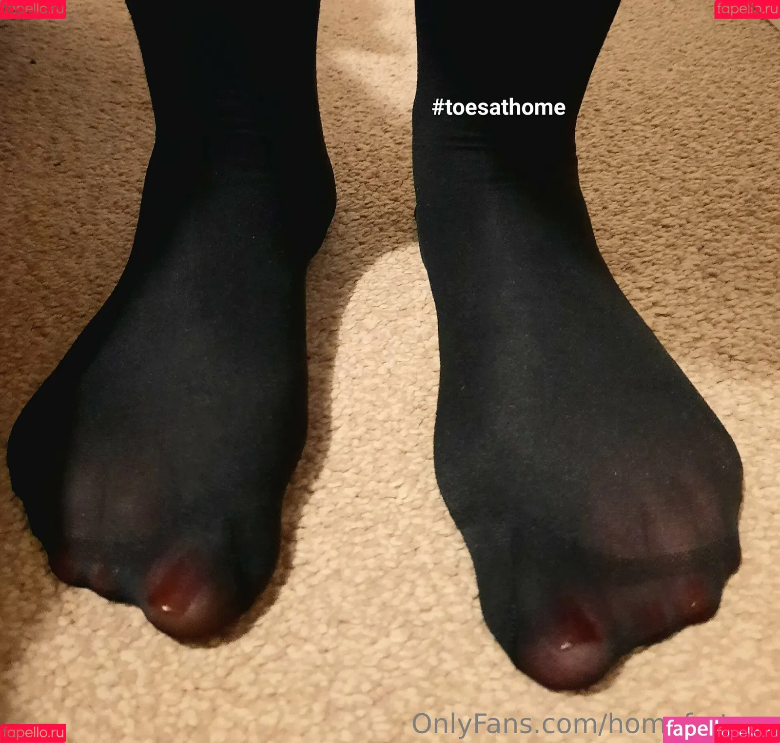 homefortoes Onlyfans Photo Gallery 