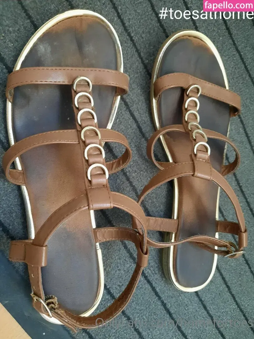 homefortoes Onlyfans Photo Gallery 