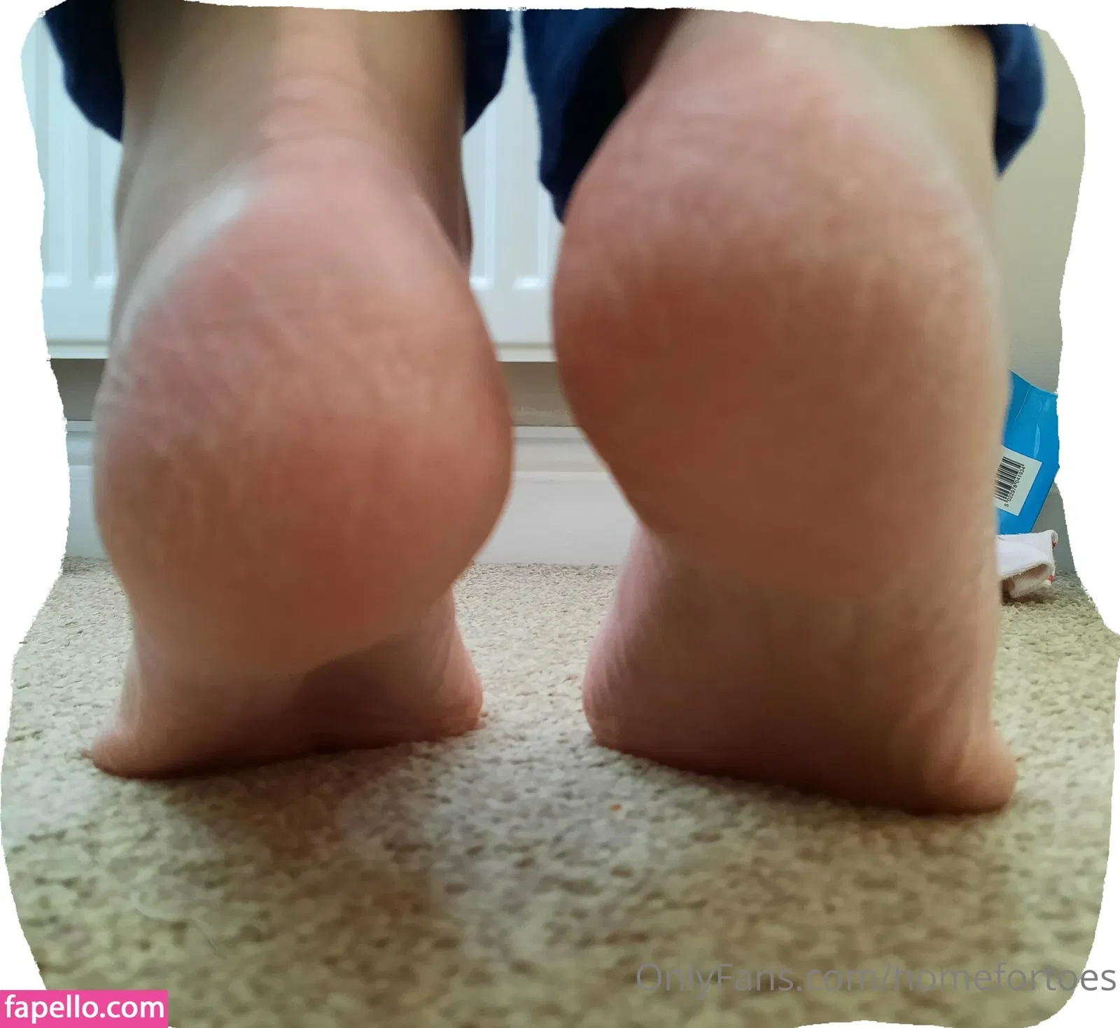 homefortoes Onlyfans Photo Gallery 