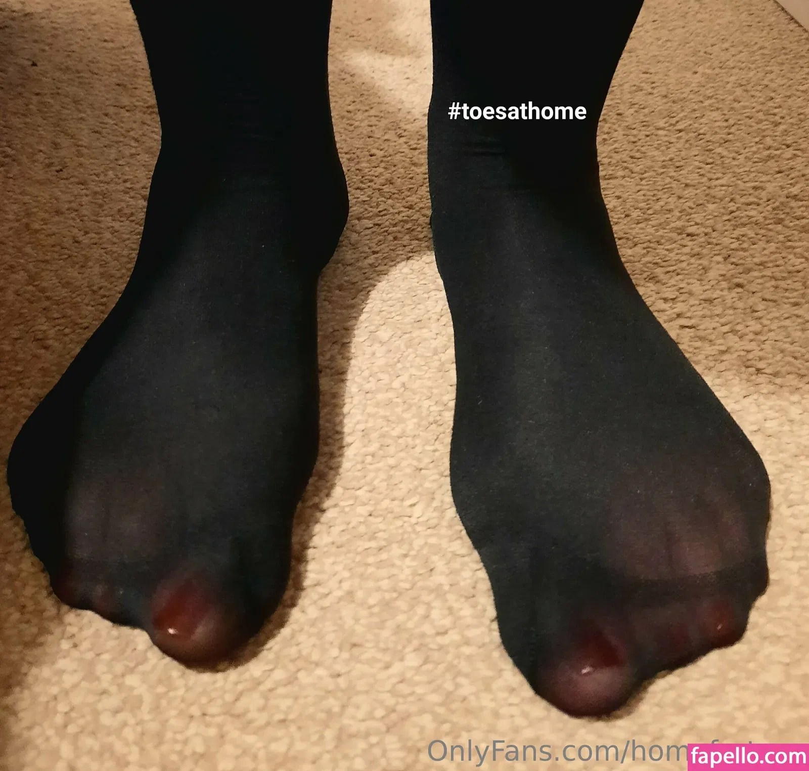 homefortoes Onlyfans Photo Gallery 