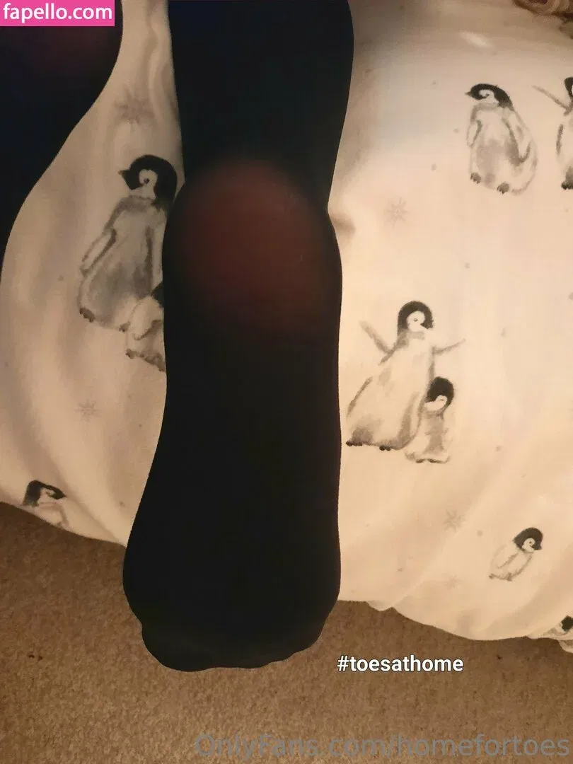 homefortoes Onlyfans Photo Gallery 