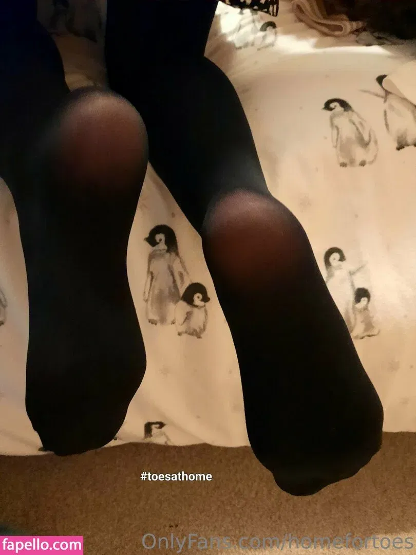 homefortoes Onlyfans Photo Gallery 