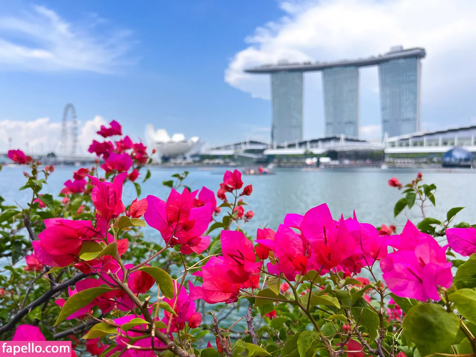 love_vera Onlyfans Photo Gallery 