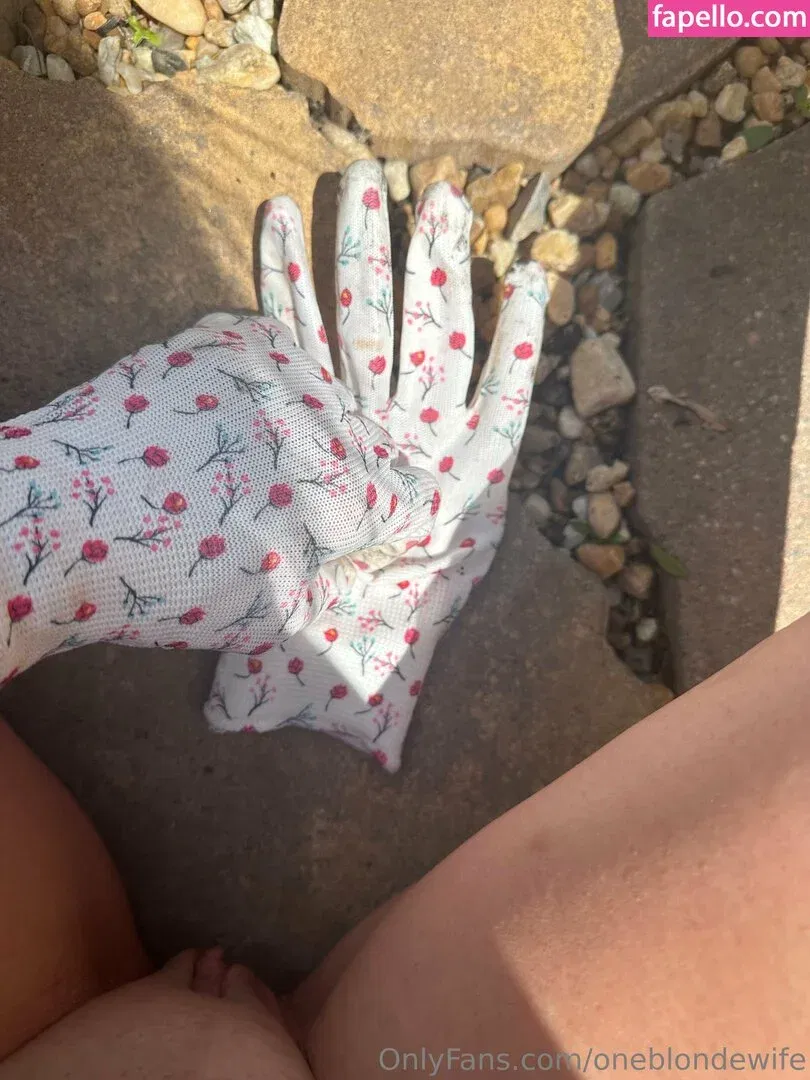 oneblondewife Onlyfans Photo Gallery 