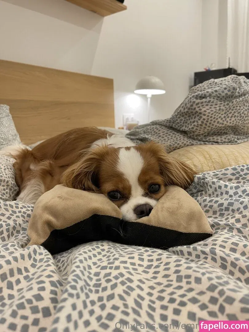 emmaseverina Onlyfans Photo Gallery 