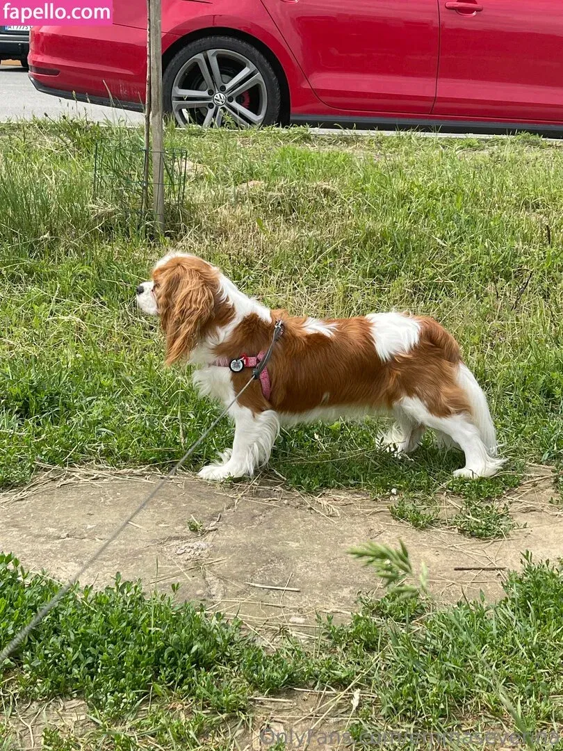 emmaseverina Onlyfans Photo Gallery 