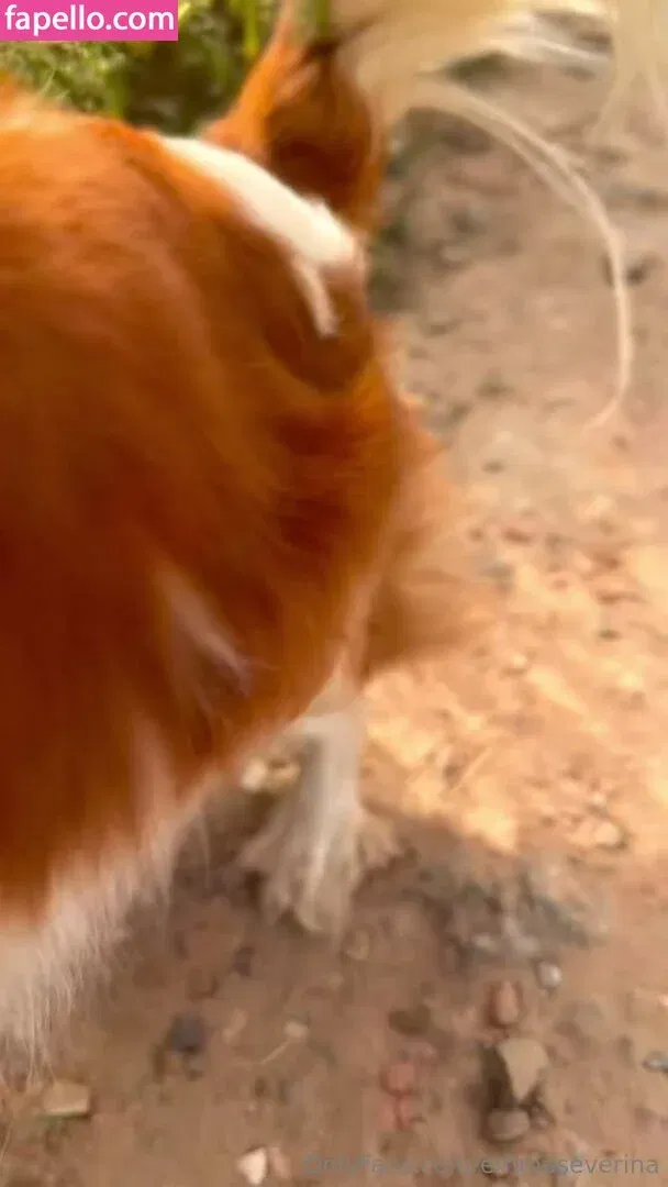 emmaseverina Onlyfans Photo Gallery 