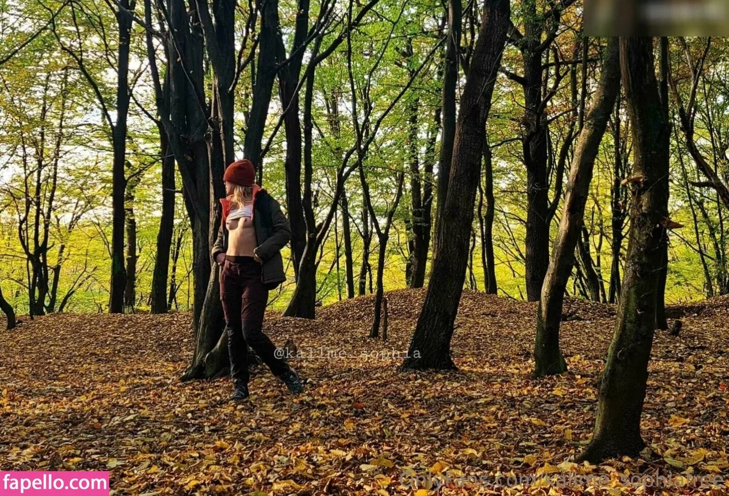 Kallme_sophia Onlyfans Photo Gallery 