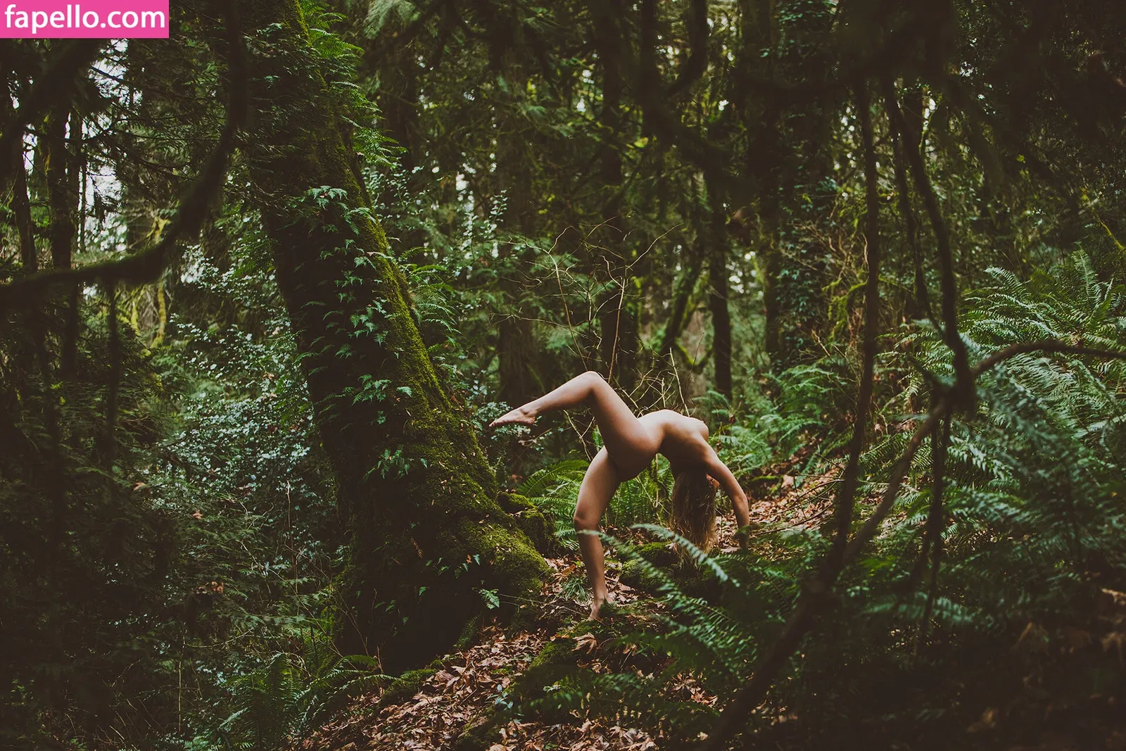 TS Keila Onlyfans Photo Gallery 