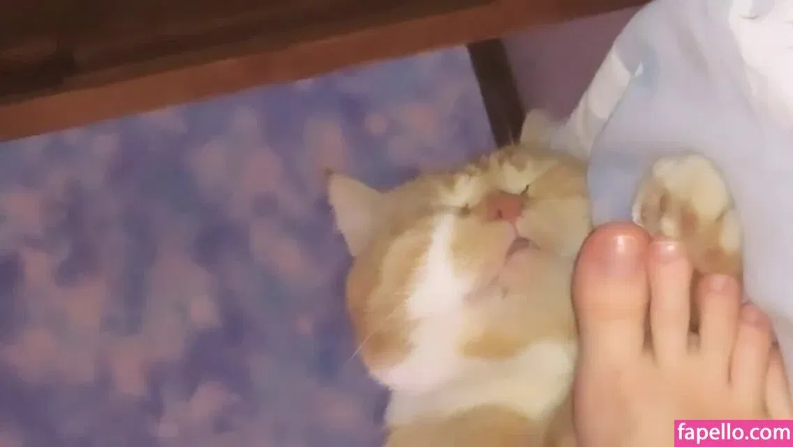 Xenaex Onlyfans Photo Gallery 