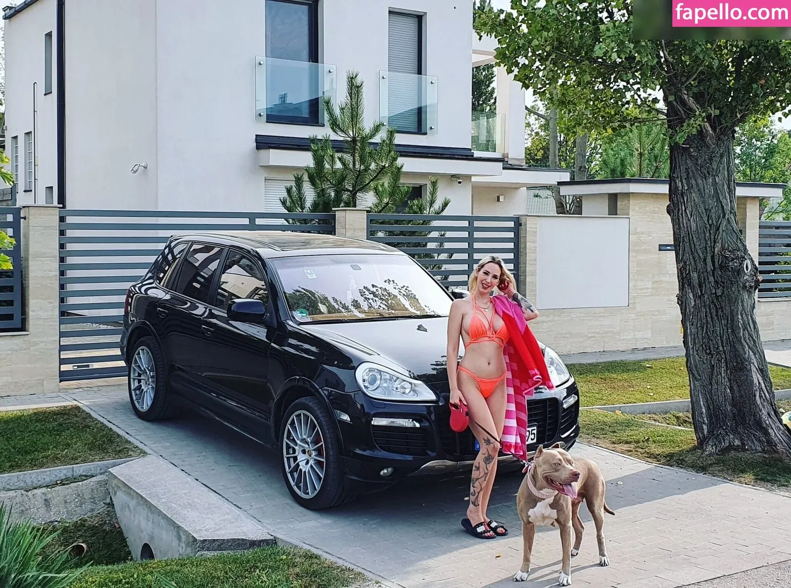 Stella Cinderella Onlyfans Photo Gallery 