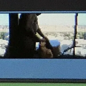 semajmediafree Onlyfans Photo Gallery 