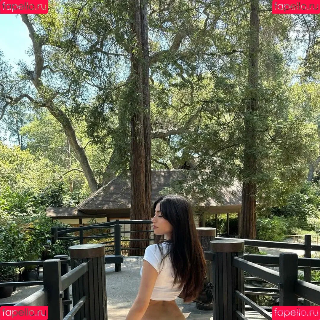 Ehcico Onlyfans Photo Gallery 
