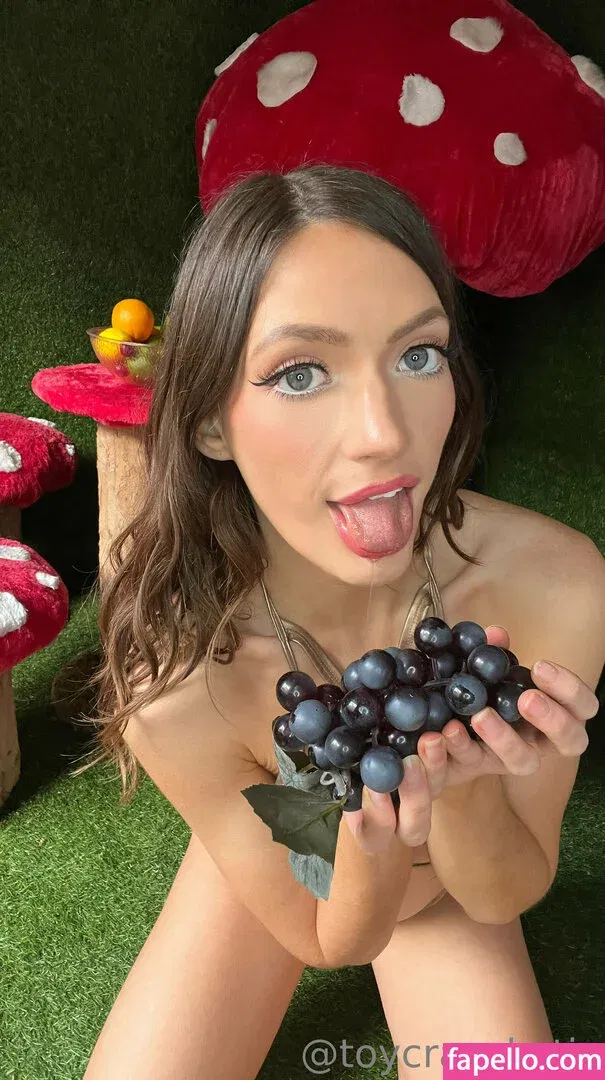 toycrazykatie Onlyfans Photo Gallery 