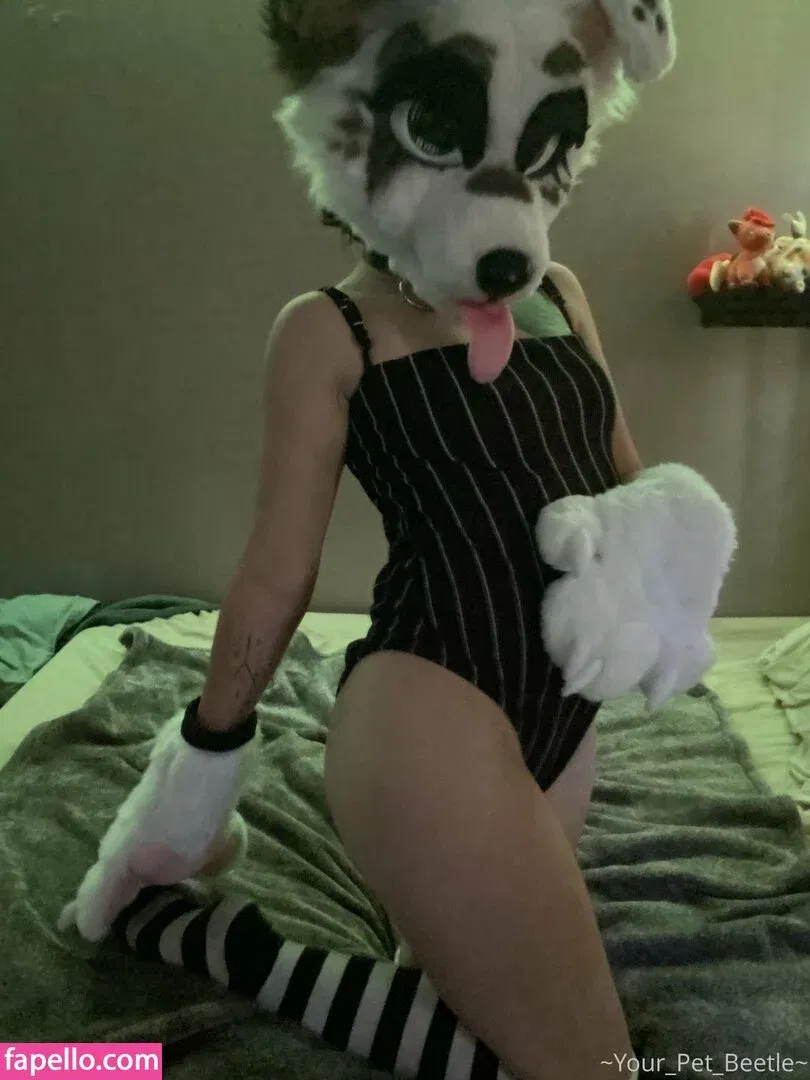 strwbrryinsides Onlyfans Photo Gallery 